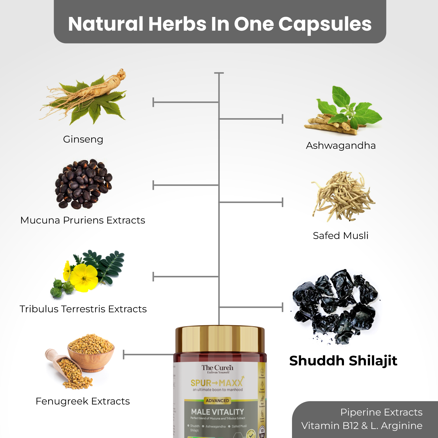 The Curen's Spur Maxx Male Vitality Supplements avec Shuddh Shilajit / Acide Fulvique, Musli, Ginseng, Ashwagandha, Gokshur et Kapikacchu | Aide à l'énergie, à l'endurance, à la force, à l'humeur et à la testostérone | 60 gélules végétales